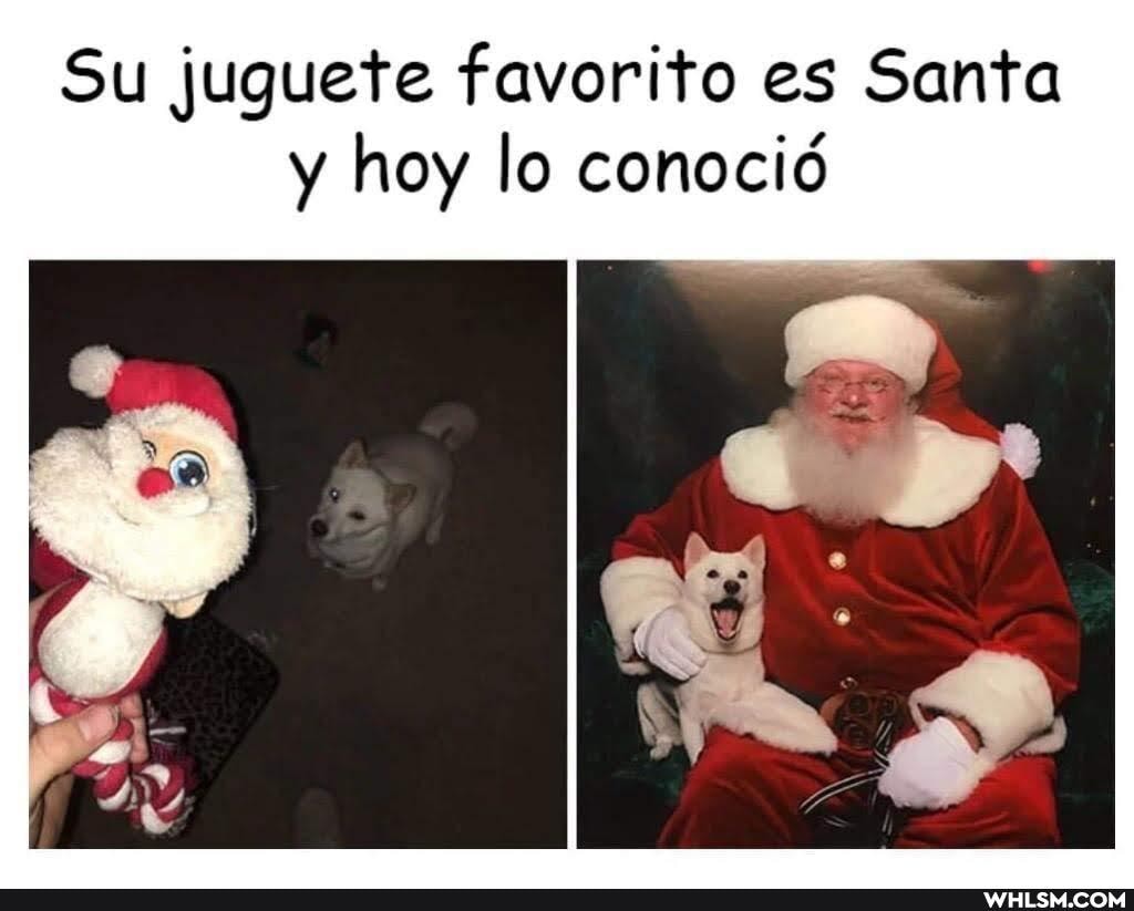Su juguete favorito es Santa