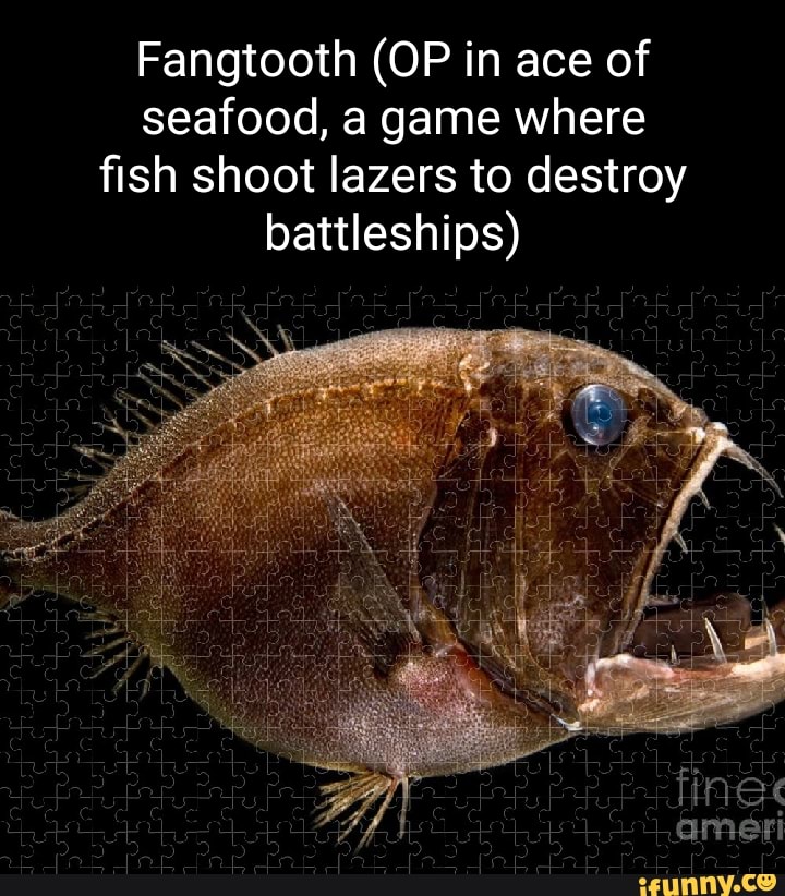 Fangtooth Memes Best Collection Of Funny Fangtooth Pictures On Ifunny Brazil