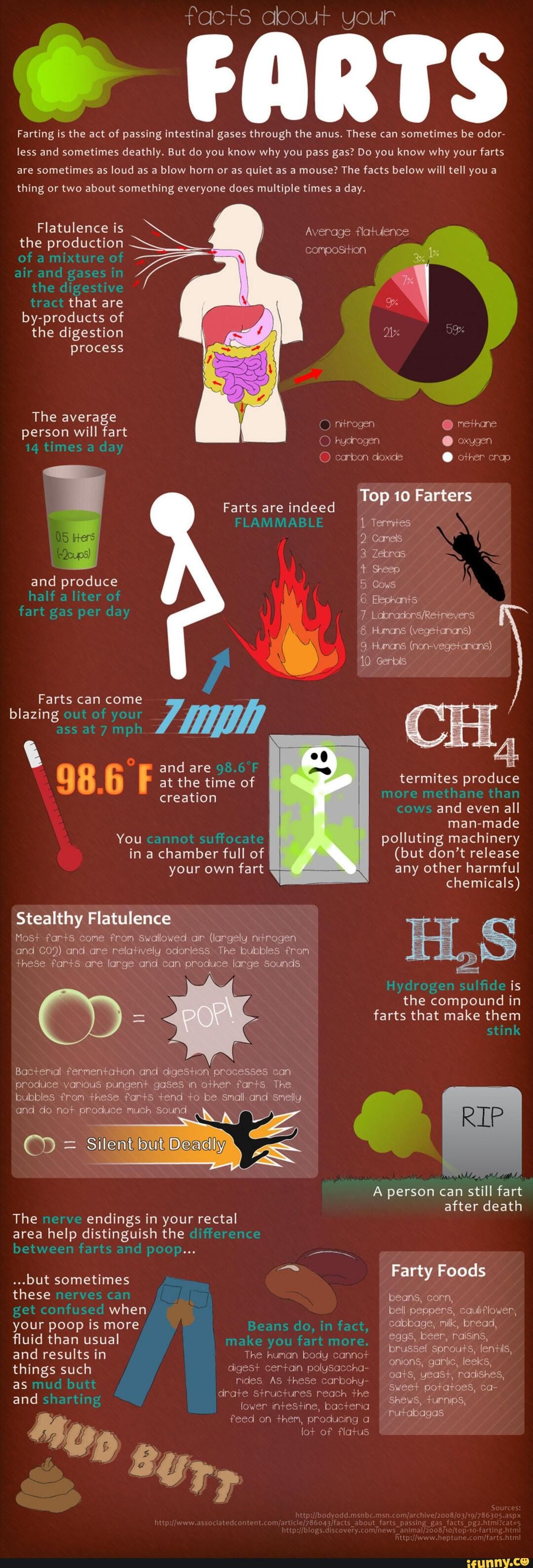 TS About Your FARTS Farting Is The Act Of Passing Intestinal Gases 