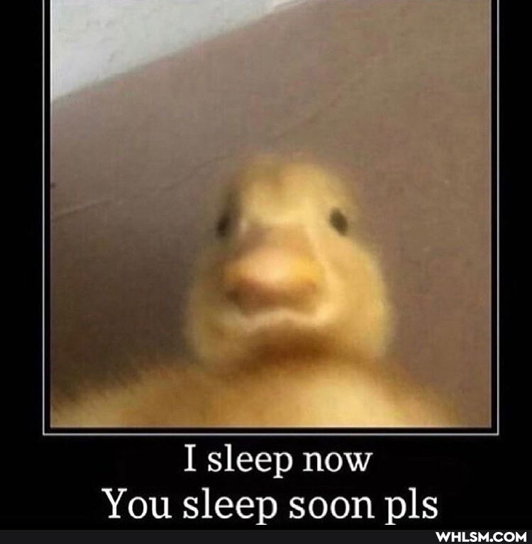 I sleep now
Voiy clean nl"