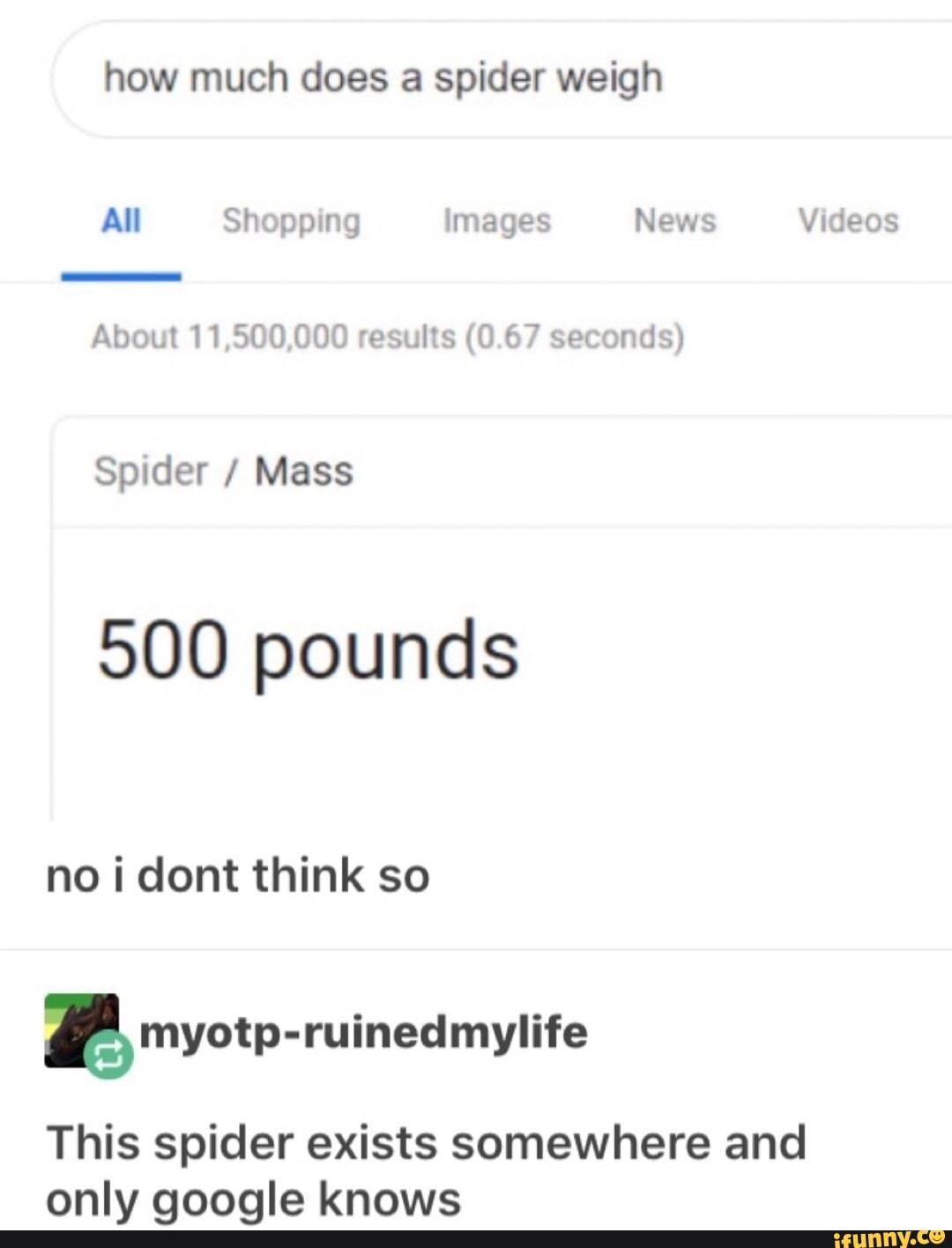 how-much-does-a-spider-weigh-spider-mass-500-pounds-no-i-dont-think