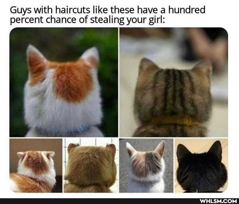 Guys with haircuts like these have a hundred percent chance of stealing your girl:
SSS