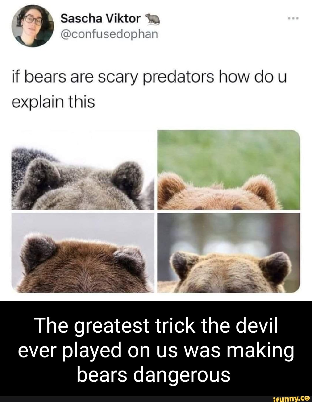 Bears are you happy. Memes with Bears. Meme with Bear. Bear Ear iphone. Why Bear женские.