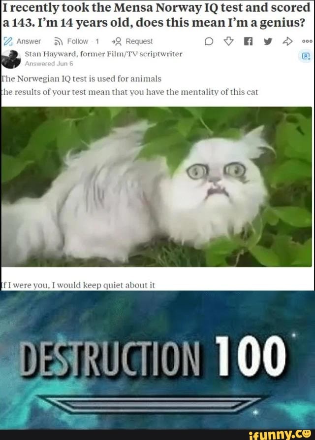 I recently took the Mensa Norway IQ test and scored
a 143. I'm 14 years old, does this mean I'm a genius?
rmer Film,
rhe Norwegian 1Q test
is used for animals
he results
of your test mean
that you
have the mentality of this cat
f I were you, I would keep quiet about it
DESRUTION 100