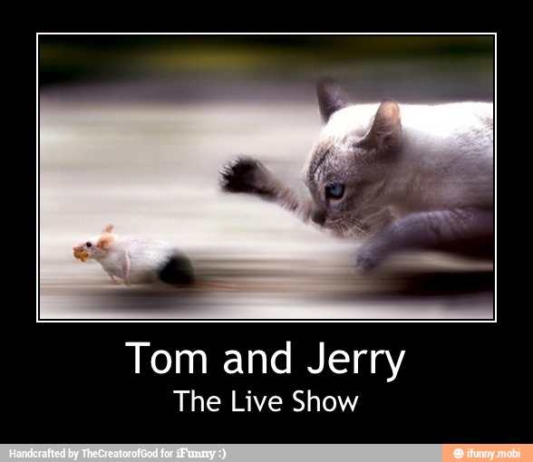 Tom and Jerry
The Live Show - Tom and Jerry
The Live Show