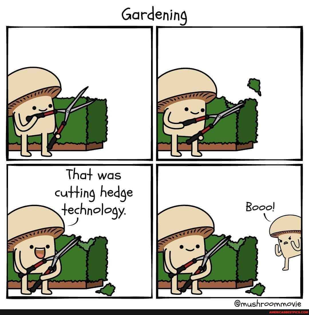 Gardening
was eurting hedge