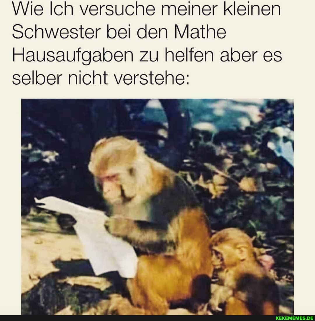 Wie Ich versuche meiner kleinen
Schwester bei den Mathe
Hausaufgaben zu helfen aber es selber nicht verstehe: