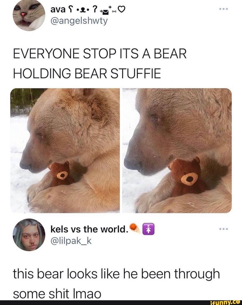 Ava @angelshwty EVERYONE STOP ITS A BEAR HOLDING BEAR STUFFIE this bear ...