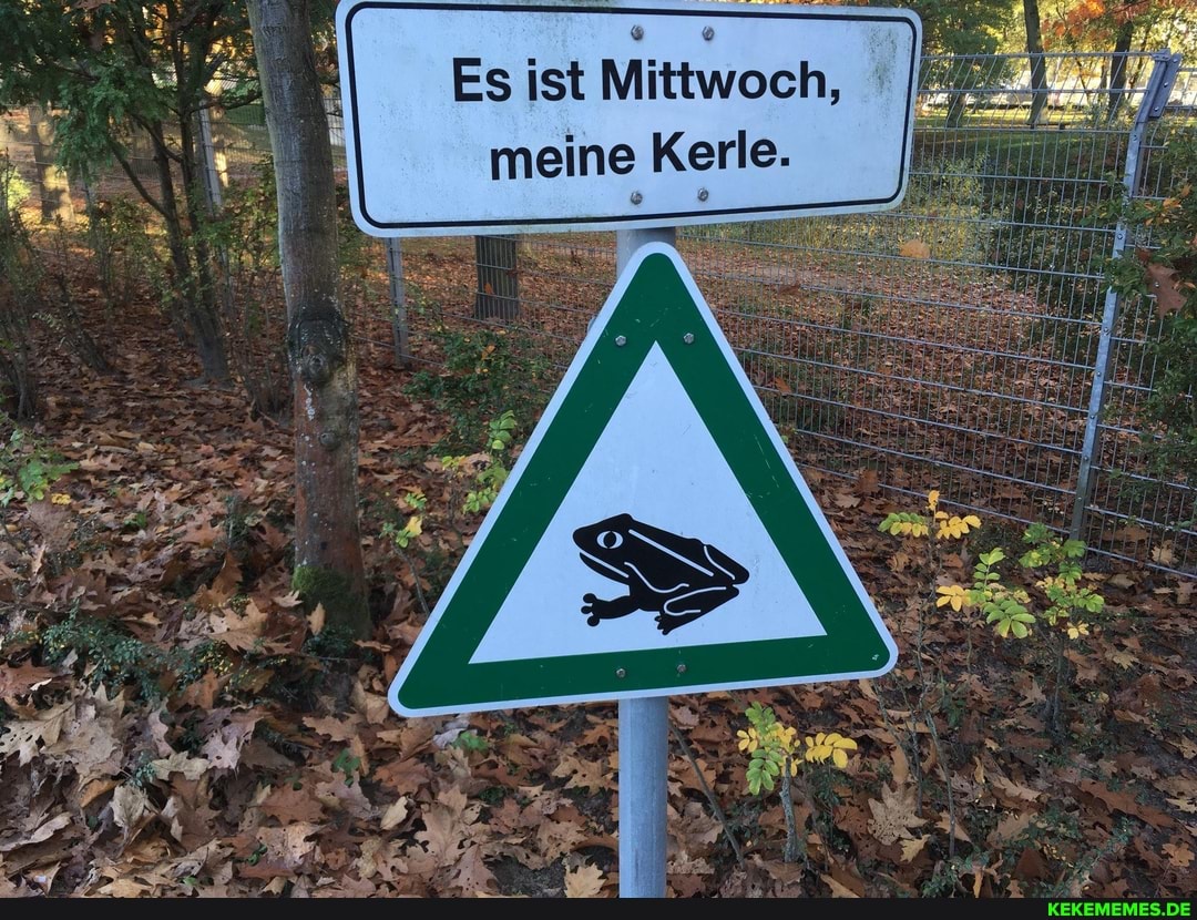 Es Ist Mittwoch Meine Kerle Meme