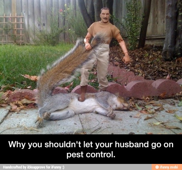 Why you shouldn't let your husband go on
pest control. - Why you shouldn't let your husband go on pest control.