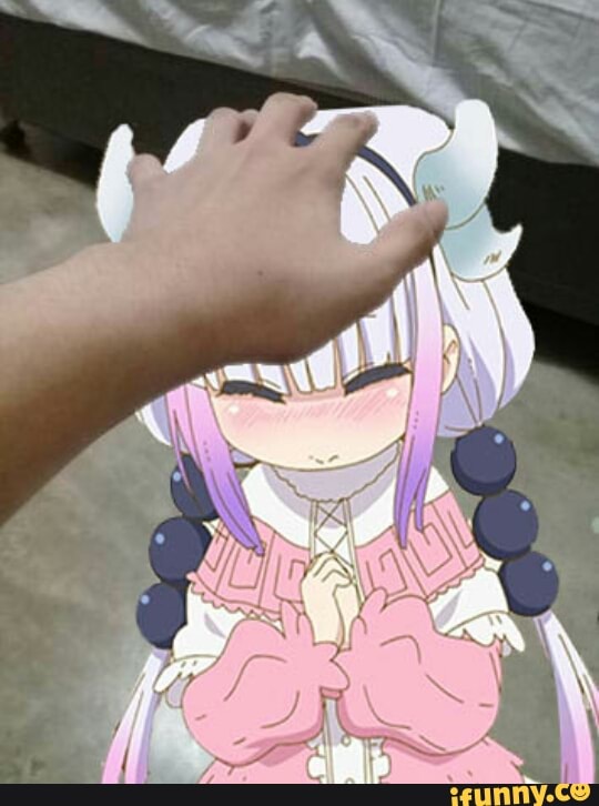 animes, lolis, maiddragon, kannachan, dragão, lesbica, fodase