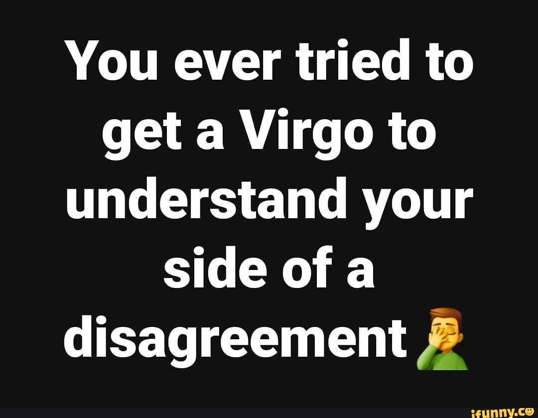 You ever tried to get a Virgo to understand your side of a disagreement 2