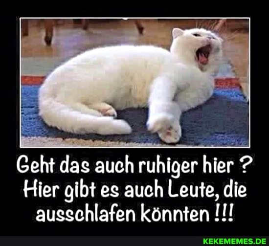 Geht das auch ruhiger hier ?
Hier gibt es auch Leute, die ausschlafen könnten