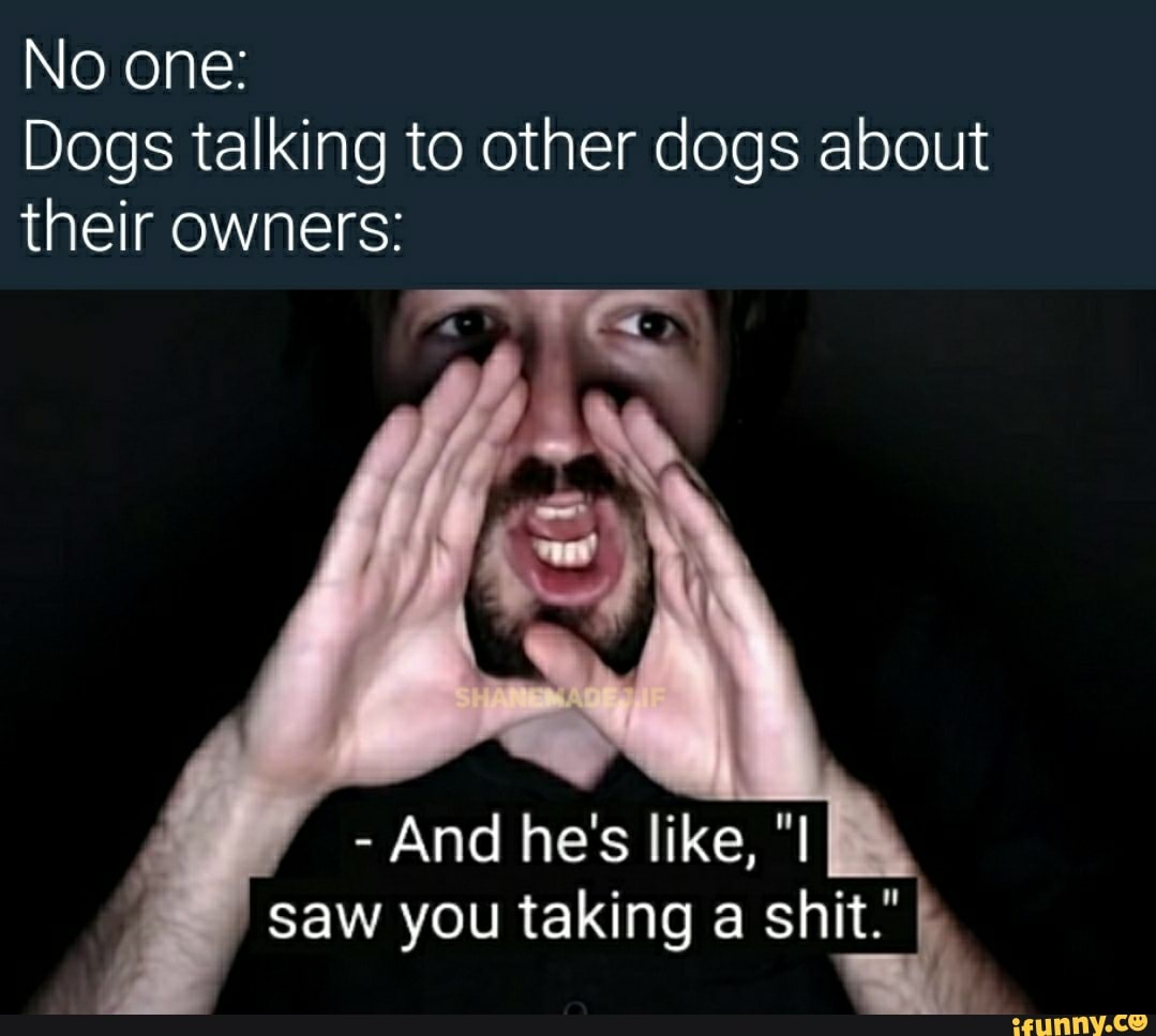 No one:
Dogs talking to other dogs about
their owners:
saw you taking a shit."