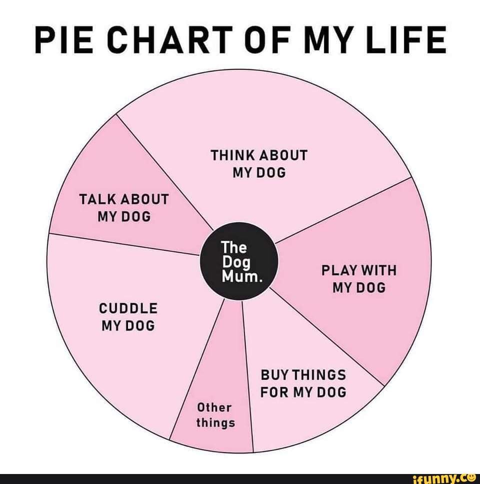 PIE CHART OF MY LIFE THINK ABOUT DOG TALK ABOUT DOG PLAY WITH MY DOG