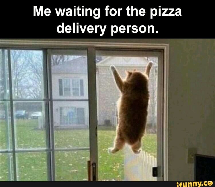 Me waiting for the pizza delivery person.