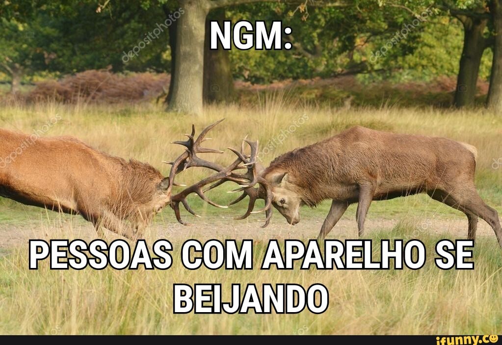 PESSOAS COM APARELHO SE BEIJANDO