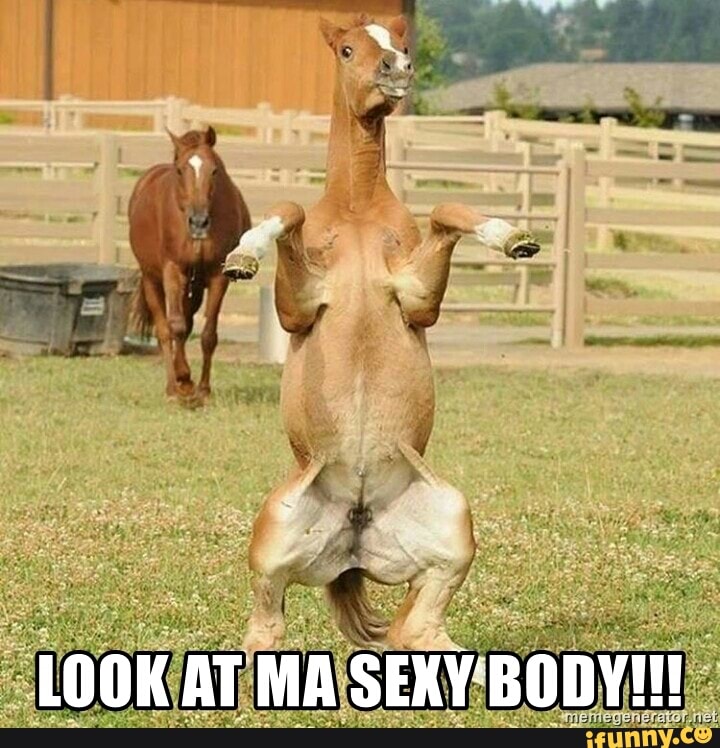 LOOK AT MA SEKY'BODY!