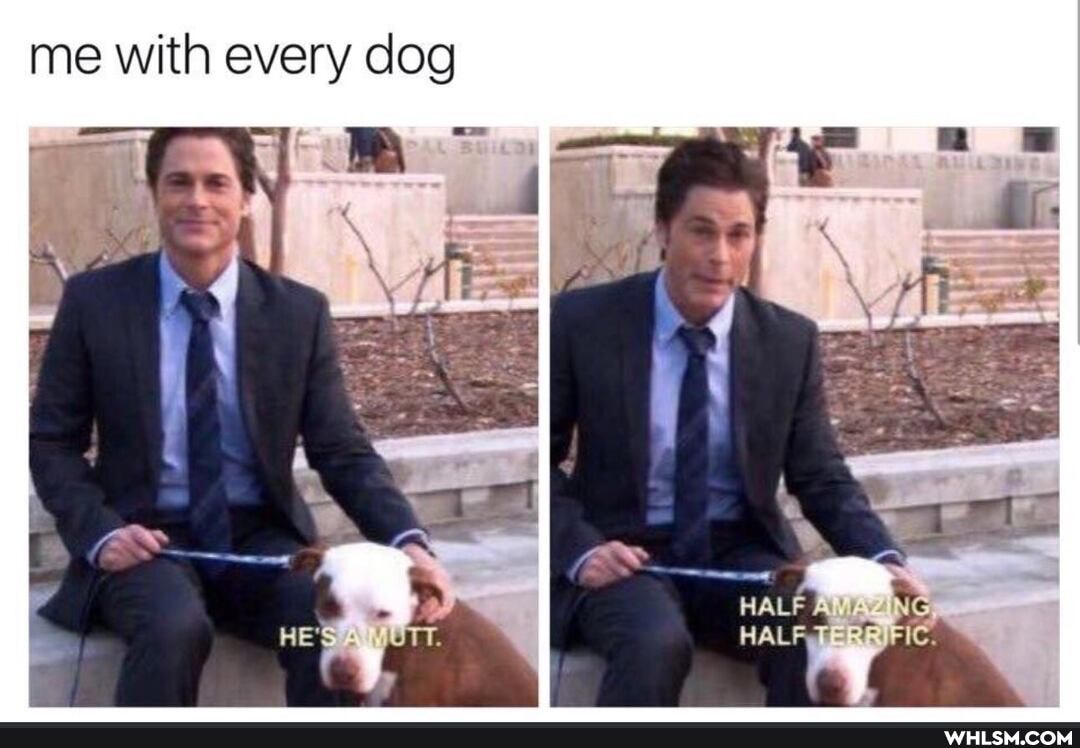 me with every dog
<I
HALF NG