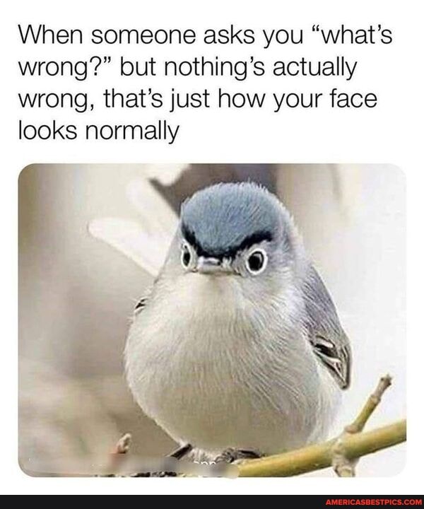 When someone asks you "what's wrong?" but nothing's actually wrong, that's just how your face looks normally