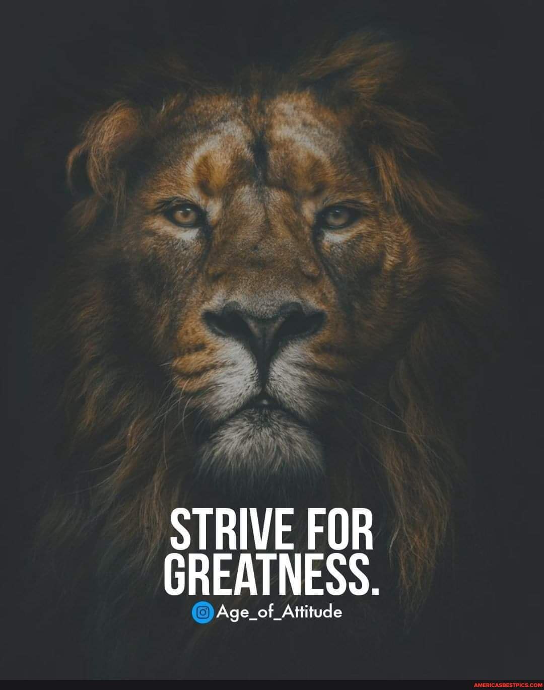 STRIVE FOR GREATNESS. 