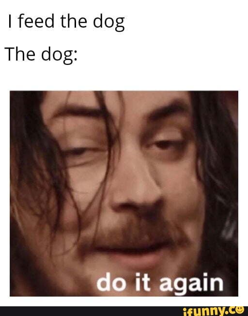 I feed the dog
The dog:
do it again