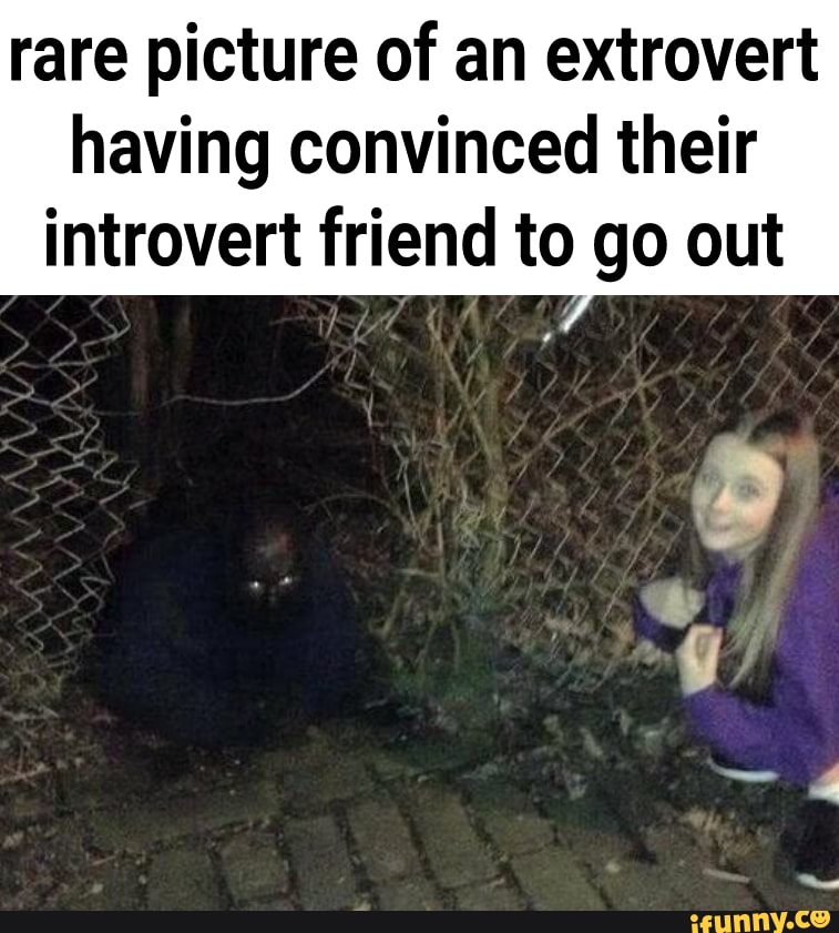 rare picture of an extrovert
having convinced their
introvert friend to go out