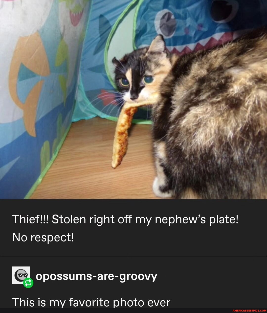 Attenzione, pickpocket!! 🗣️ Thief!!! Stolen right off my nephew's