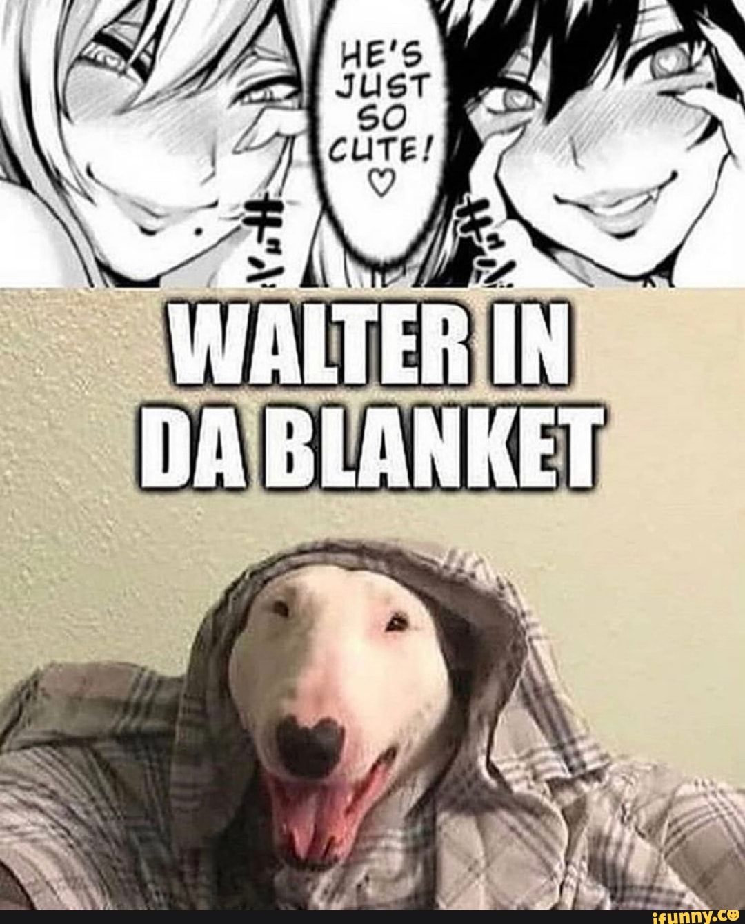 WALTER I DA ELANKET