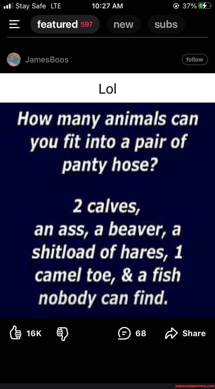 (8 alll Stay Safe LTE AM featured 5 new subs JamesBoos follow Lol How