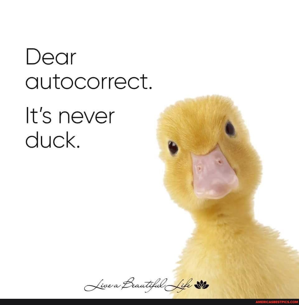 Dear qutocorrect.
It's never duck.