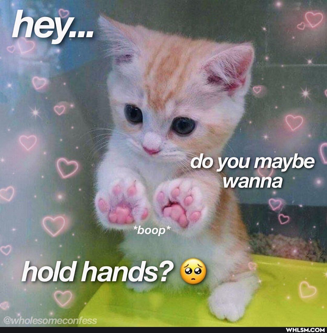 hey...
do you maybe wanna
*paop*
hold hands?