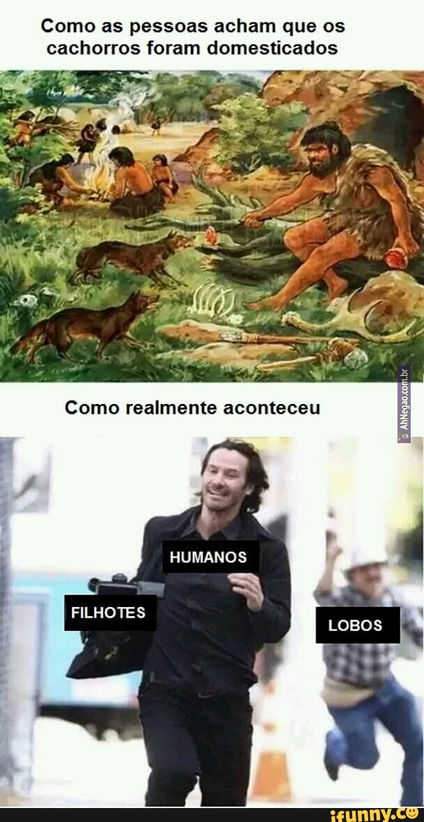 Como as pessoas acham que os cachorros foram domesticados
Como realmente aconteceu
HUMANOS
FILHOTES