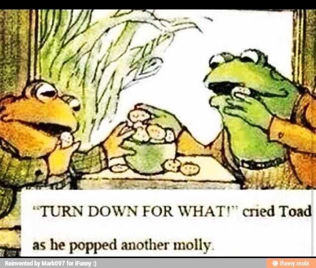 "TURN DOWN FOR WHAT!" cried Toad
as
he popped another molly