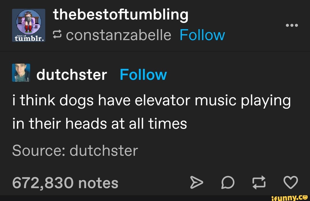 thebestoftumbling timpr. CONStanzabelle Follow
dutchster Follow i think dogs have elevator music playing in their heads at all times
Source: dutchster
672,830 notes >
