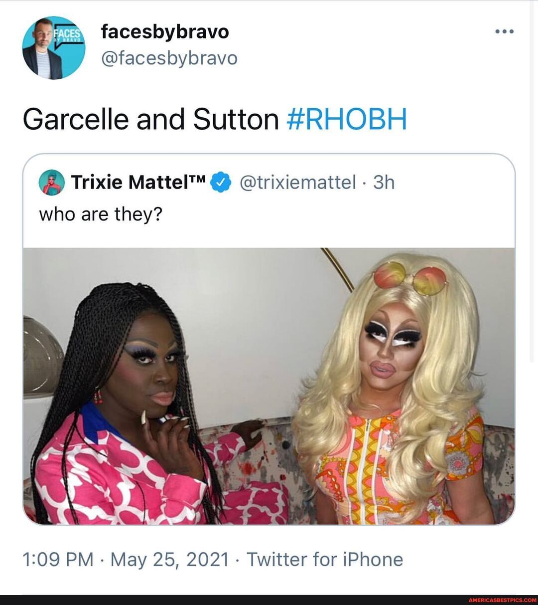 Trixie Memes Best Collection Of Funny Trixie Pictures On America S Best Pics And Videos