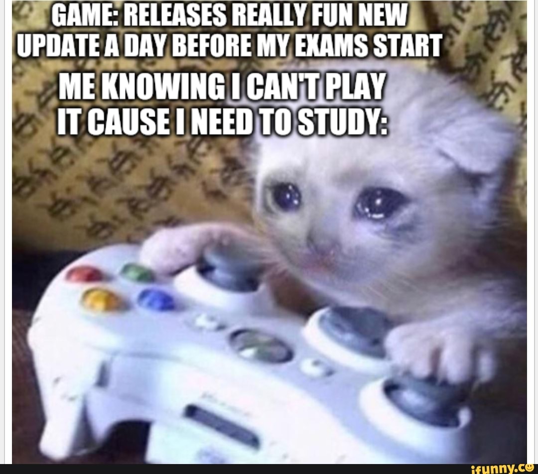 GAME RELEASES REALLY FUN NEW UPDATE A DAY BEFORE MY EXAMS START ME KNOWING CAN PLAY IT CAUSE 