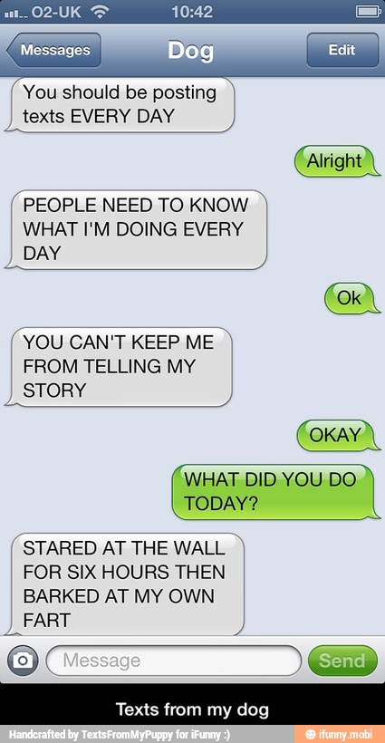 7 PEOPLE NEED TO KNOW WHAT I'M DOING EVERY
I FROM TELLING MY
I
TODAY?
(STARED AT THE WALL I)
FOR SIX HOURS THEN
BARKED AT MY OWN
Texts from my dog - Texts from my dog