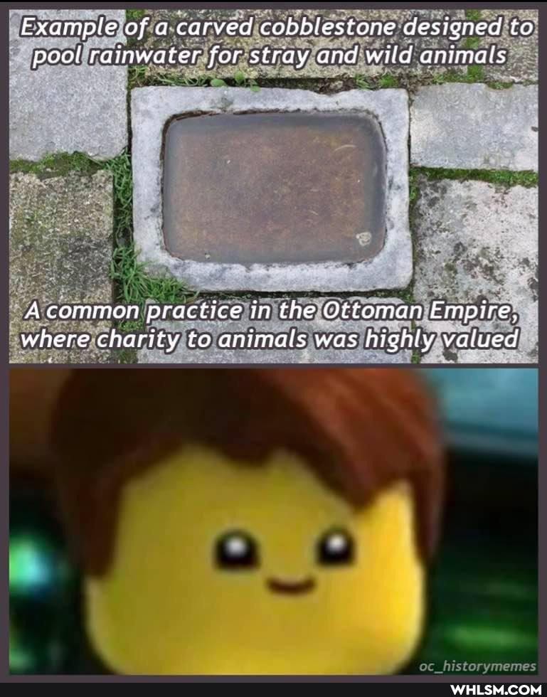 Example of a carved cobblestone designed to pool rainwater for stray and wild animals
A common practice in the Ottoman Empire, where charity to animals was highly valued
me