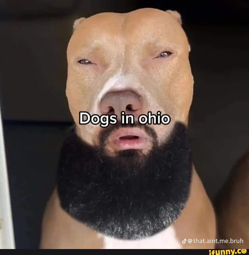 Dogs In Ohio Veste Dora IFunny Brazil dogs-in-ohio-veste-dora-ifunny-brazil