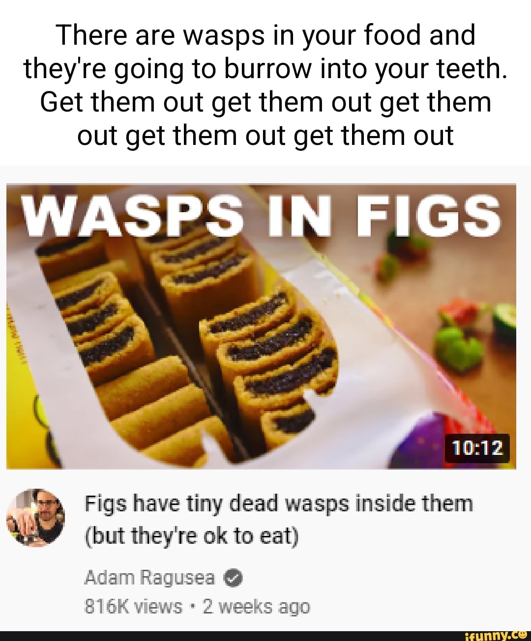 Ragusea memes. Best Collection of funny Ragusea pictures on iFunny