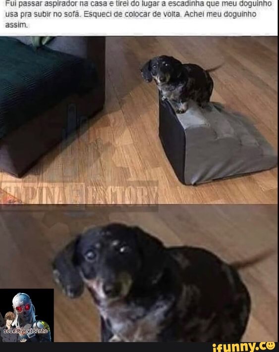coguinho guinho
