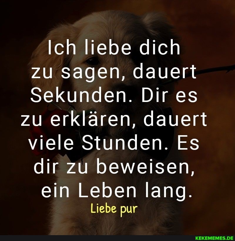 Ich liebe dich zu sagen, dauert
Sekunden. Dir es
zu erklären, dauert viele Stunden. Es dir zu beweisen,
ein Leben lang.
Liebe pur