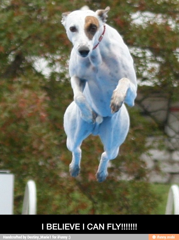 I BELIEVE I CAN FLY!!!!!!!