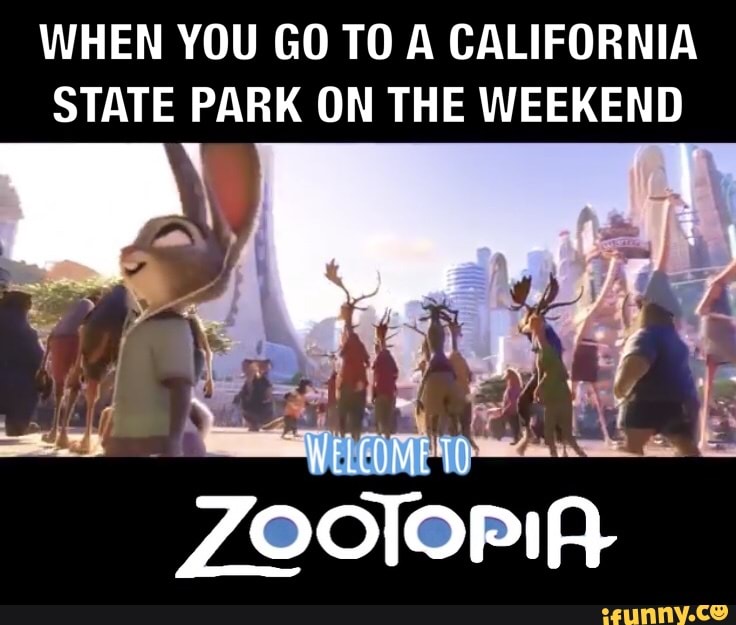 WHEN YOU GO TO A CALIFORNIA
STATE PARK ON THE WEEKEND