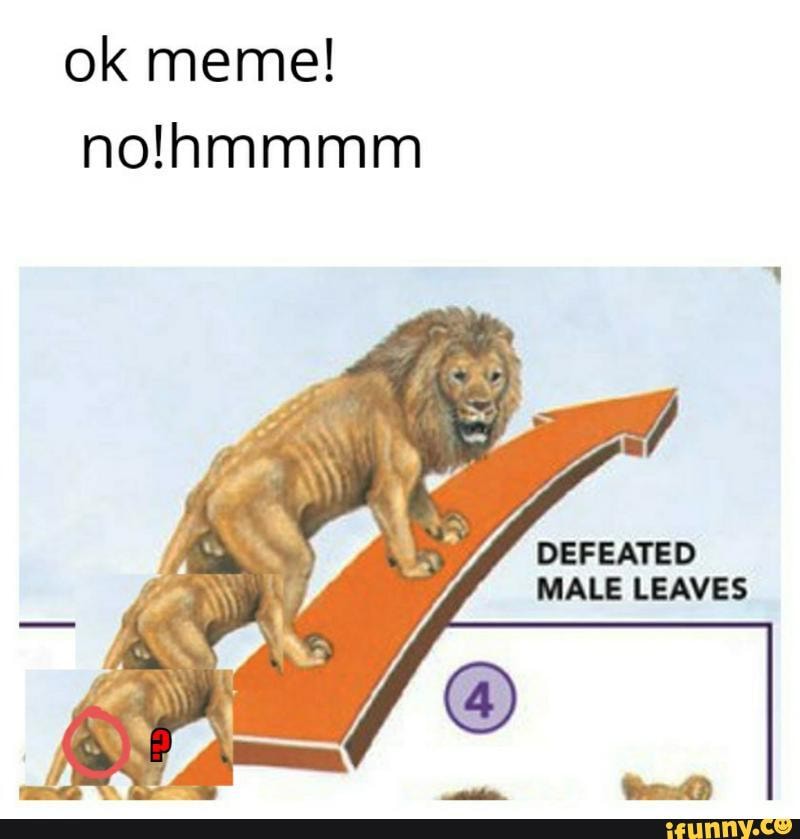 Ok meme! DEFEATED MALE LEAVES - iFunny