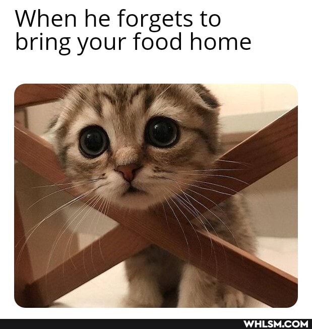 When he forgets to bring your food home