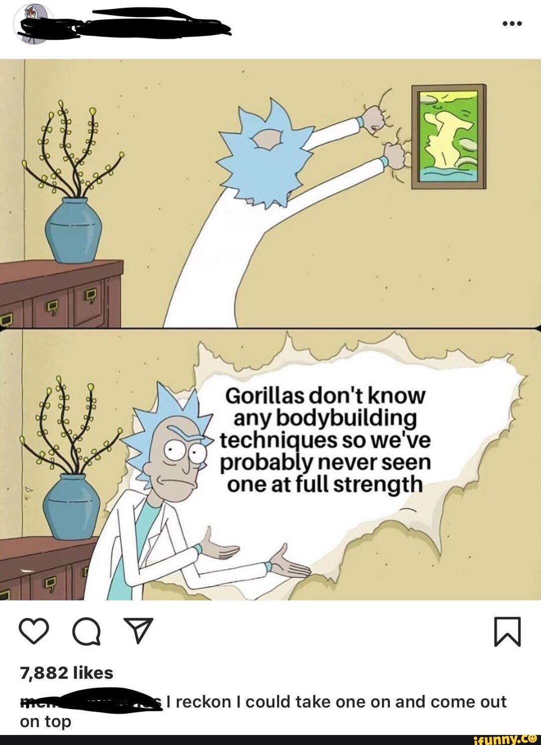 Gorillas don't know any bodybuilding techniques so we've probably never seen one at full strength
7,882 likes
I reckon could take one on and come out
on ton