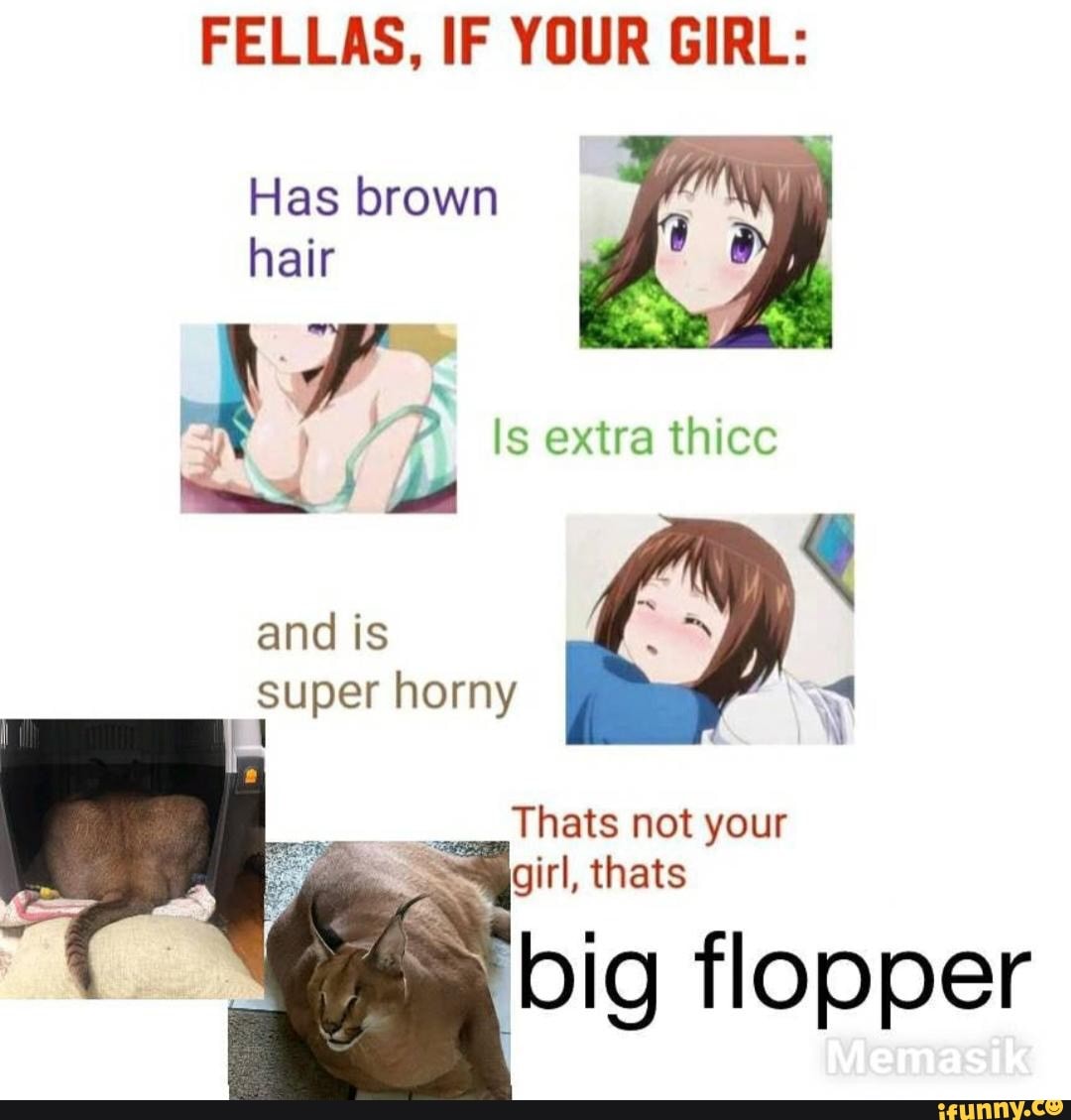 Fellas If Your Girl Has Brown Hair Is Extra Thicc Thats Not Your Girl Thats Big Flopper And 1546