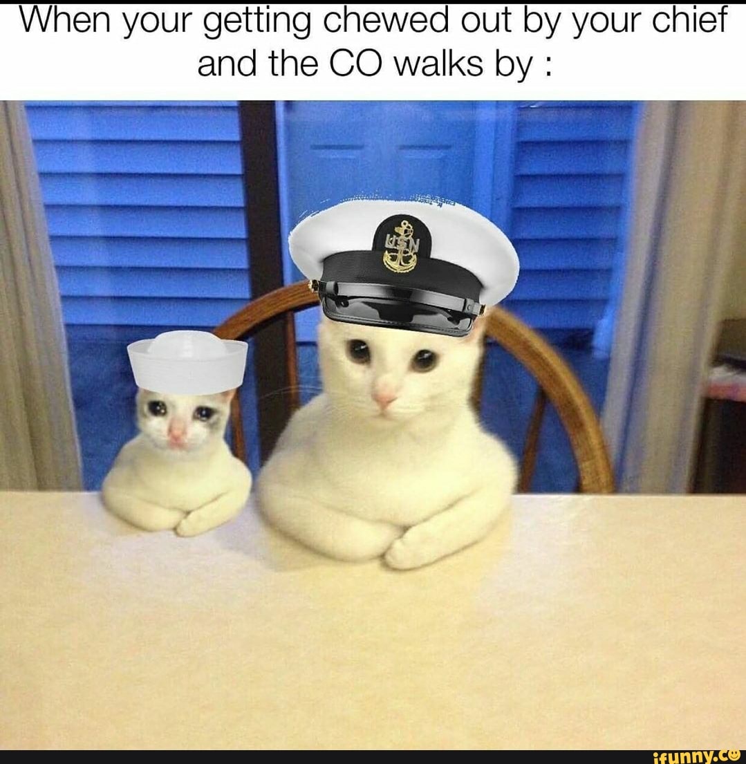 When your getting chewed out by your chief and the CO walks by : - iFunny